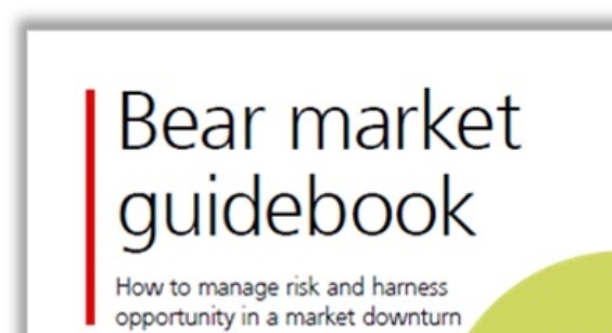 Bear market guidebook